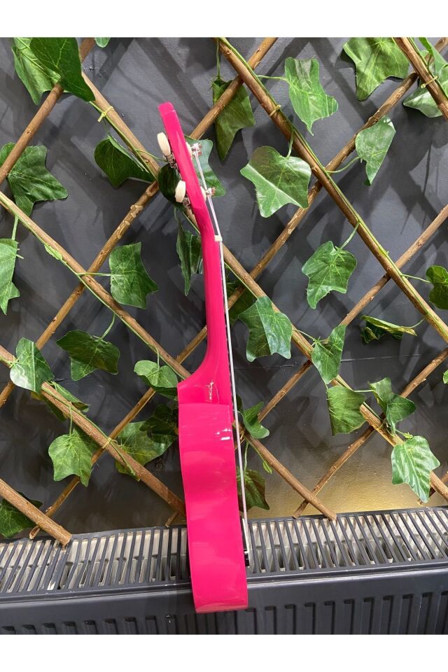 54 Cm Soprano Pempe Ukulele (Kılıf ve pena dahil)