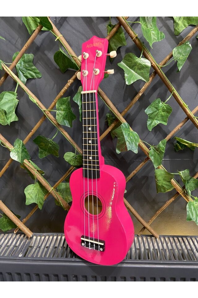 54 Cm Soprano Pempe Ukulele (Kılıf ve pena dahil)
