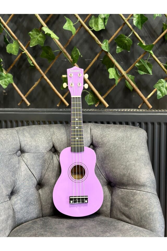 54 Cm Soprano Lila Ukulele (Kılıf ve Pena Dahil)