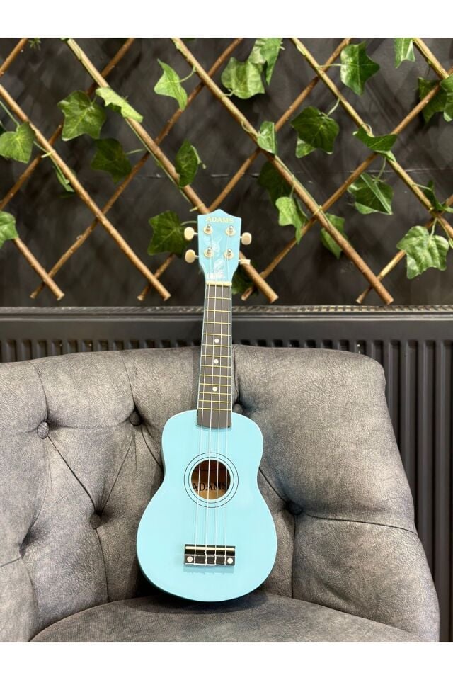 54 Cm Soprano Açık Mavi Ukulele (kılıf Ve Pena Dahil)