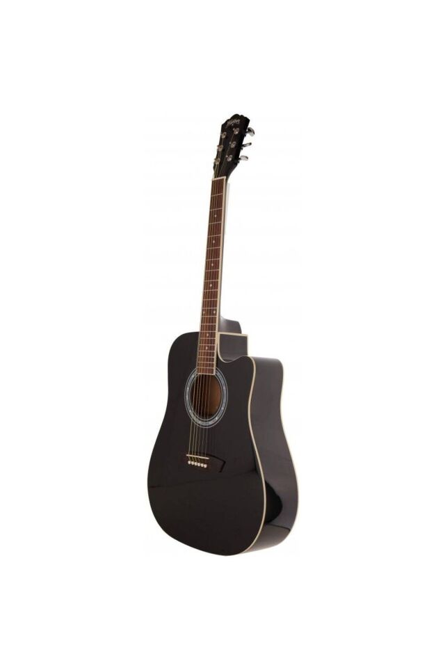 Washburn Wa90ceb Elektro Akustik Gitar (Kılıf pena dahil)