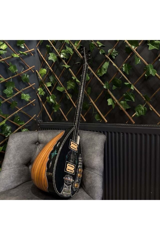 Profesyonel Elektro Bağlama (Soft Case Dahil)