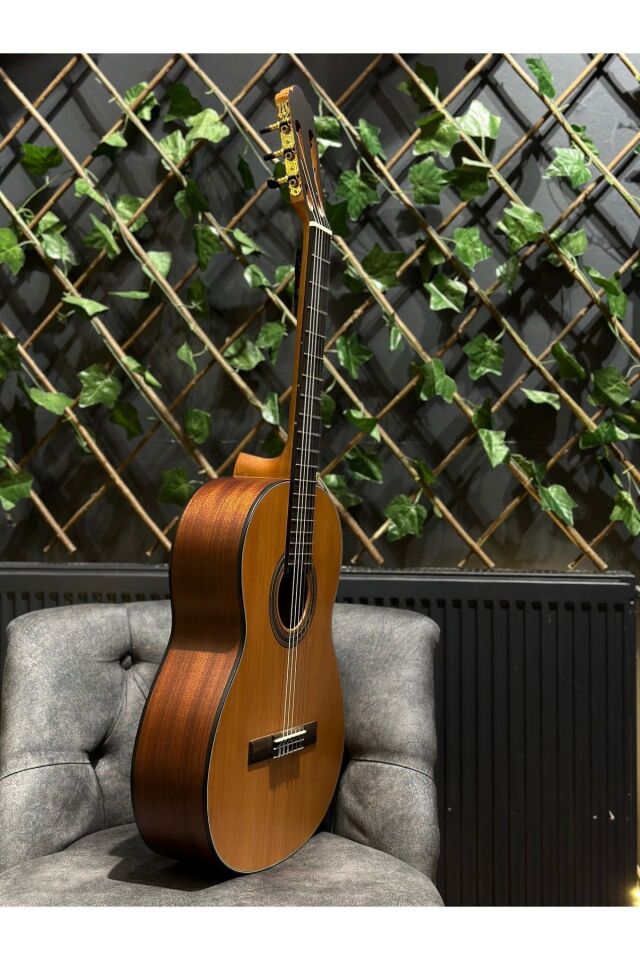 Reguis Natural Klasik Gitar (Kılıf Pena Dahil)