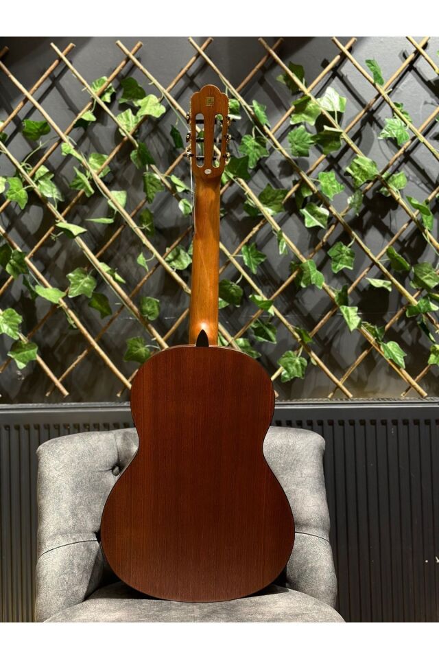 Reguis Natural Klasik Gitar (Kılıf Pena Dahil)