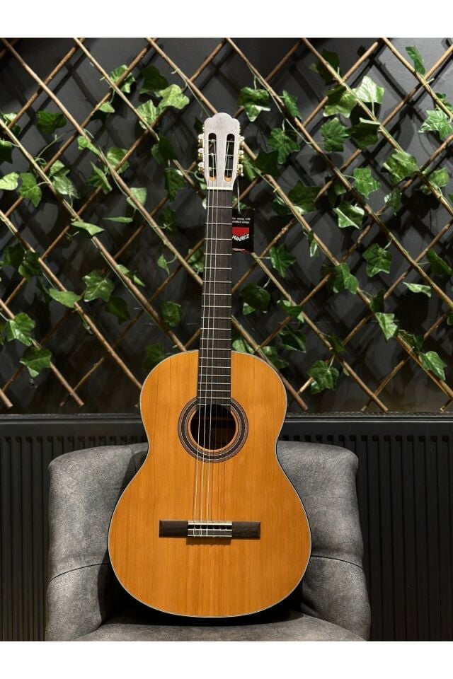 Reguis Natural Klasik Gitar (Kılıf Pena Dahil)