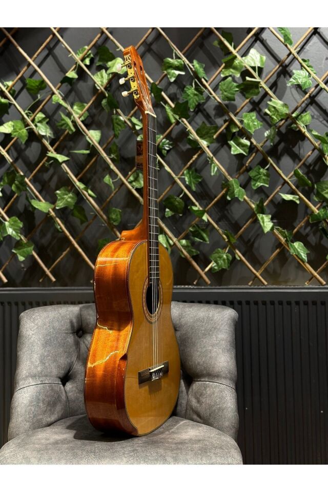 Vega Natural Klasik Gitar (Kılıf,Pena Dahil)