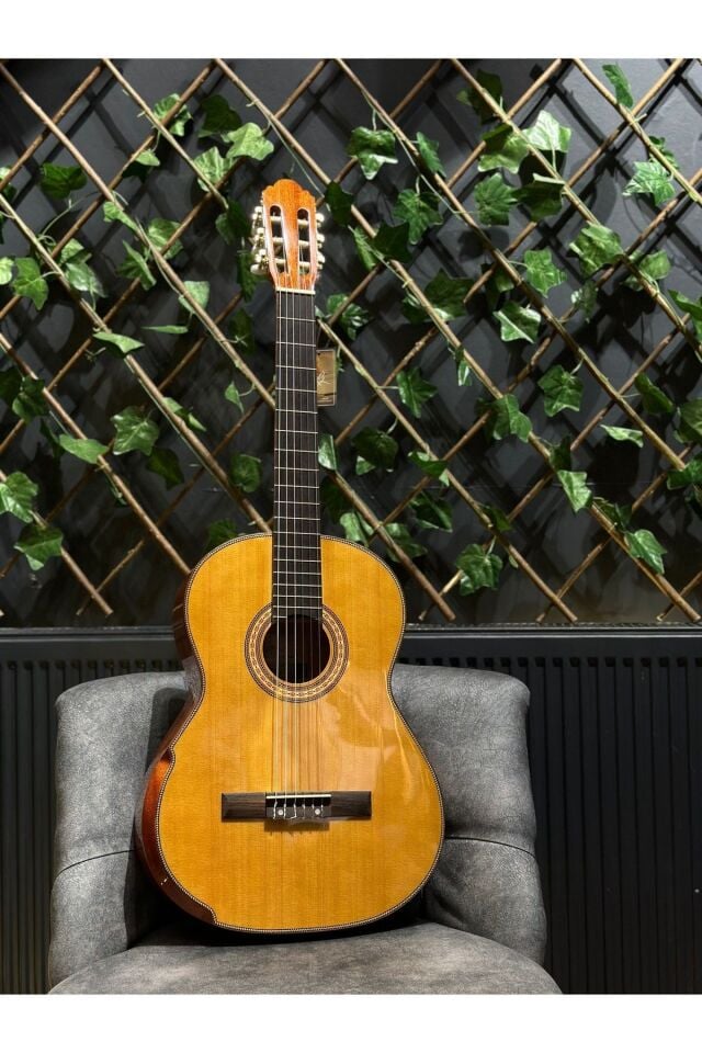 Vega Natural Klasik Gitar (Kılıf,Pena Dahil)