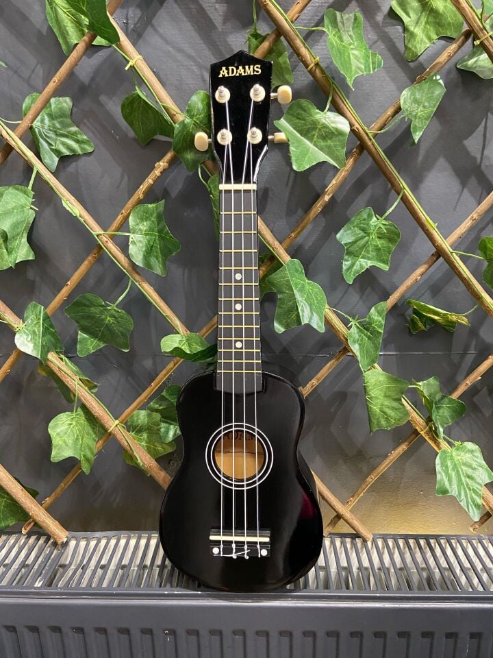 54 Cm Soprano Siyah Ukulele (Kılıf ve Pena Dahil)