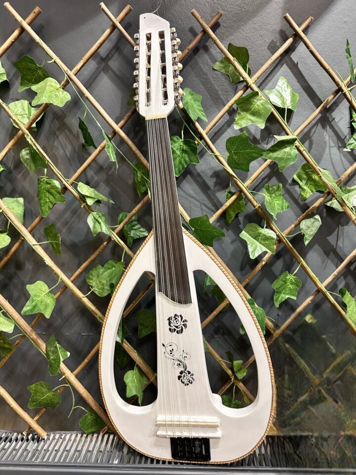 Elektro Ud Fishman Ekolayzerli (Sahne İçin)
