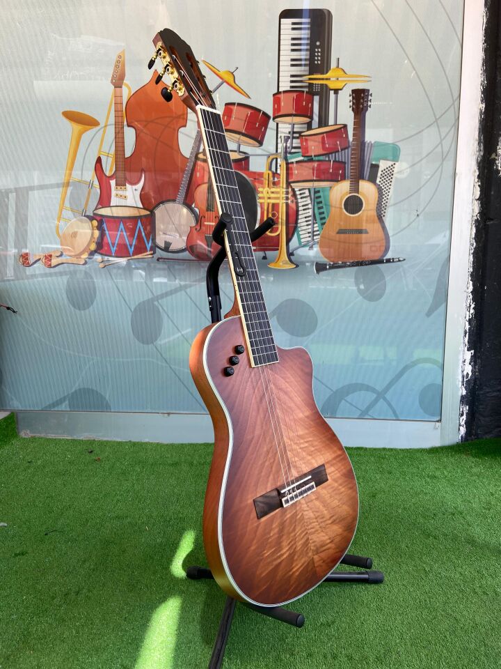 Elektro Klasik Gitar İnce Kasa-Sahne İçin-Godin Kasa(Kılıf Dahil)