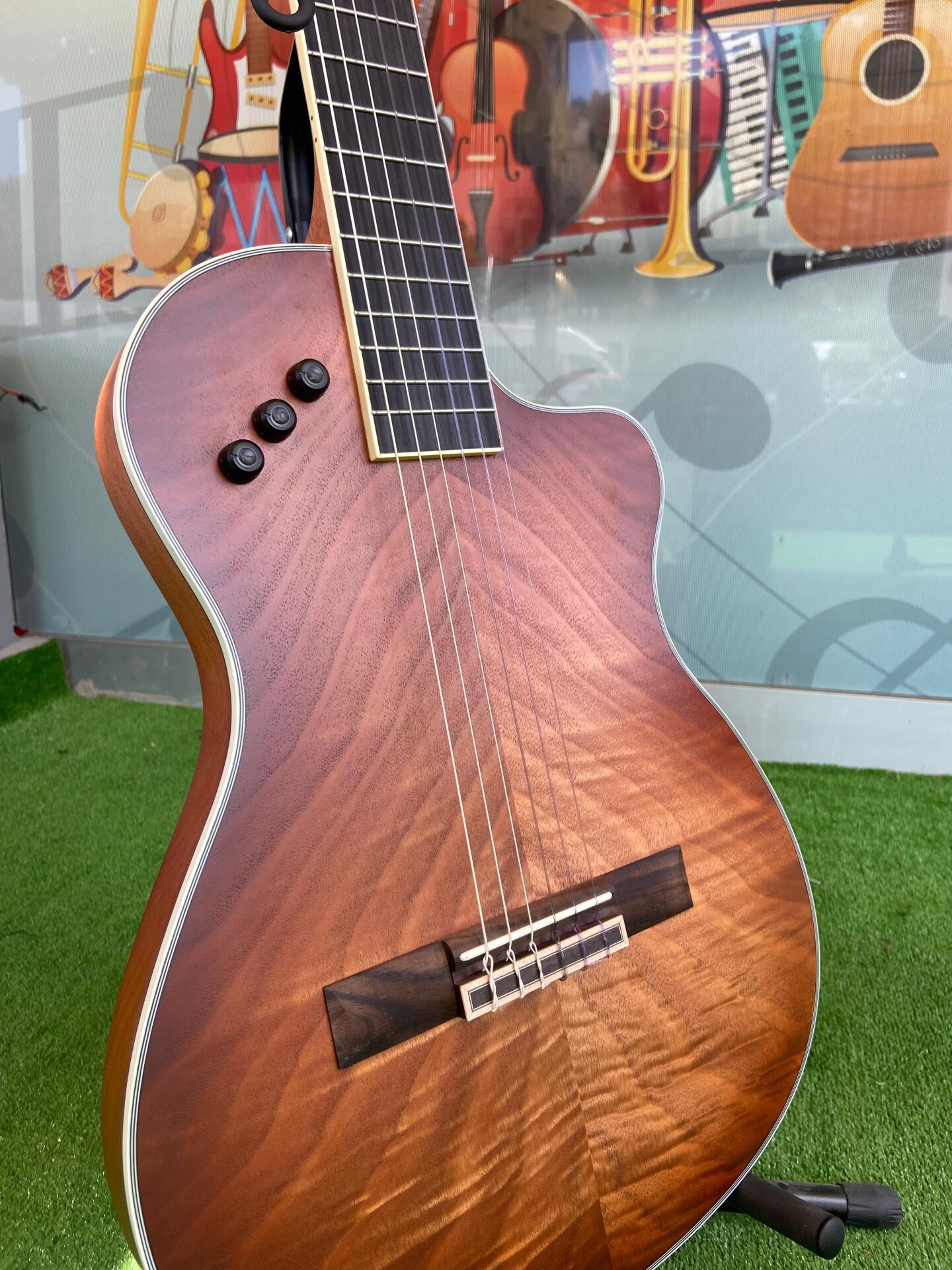 Elektro Klasik Gitar İnce Kasa-Sahne İçin-Godin Kasa(Kılıf Dahil)