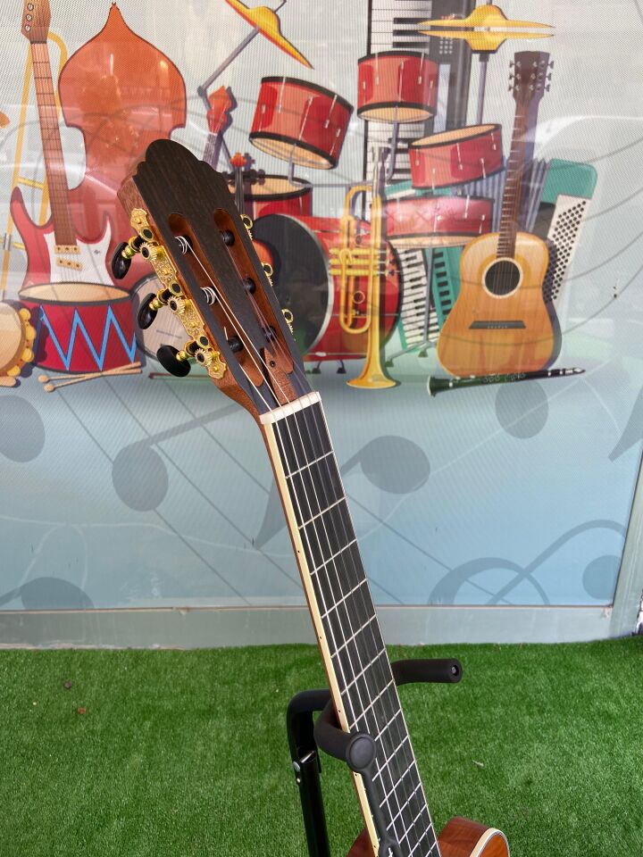 Elektro Klasik Gitar İnce Kasa-Sahne İçin-Godin Kasa(Kılıf Dahil)