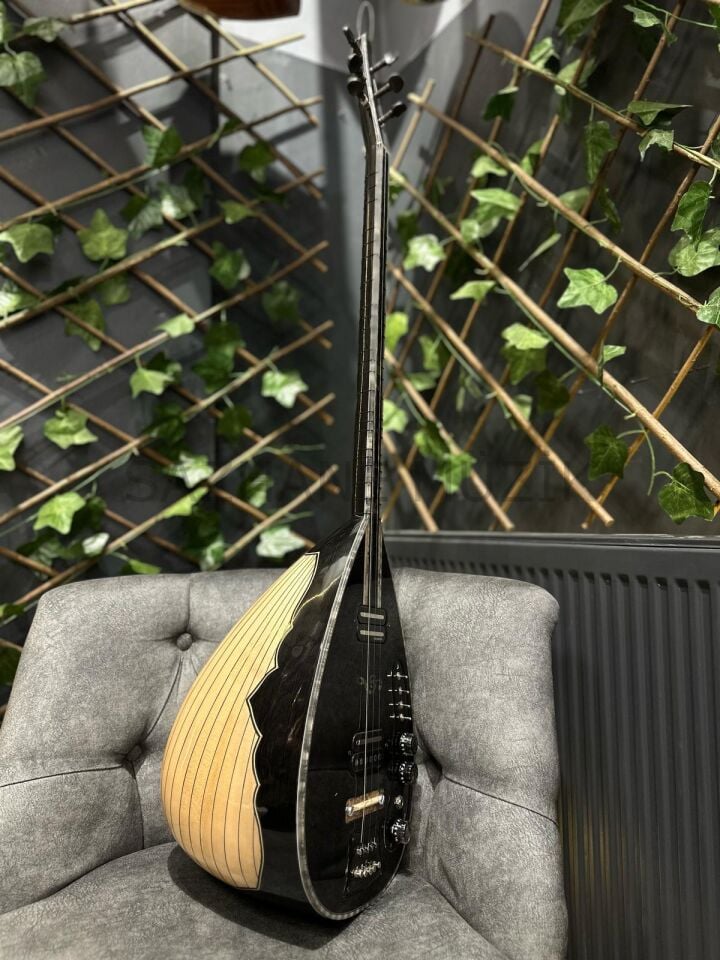 1. Sınıf Tam Profesyonel Kelebek Tekne Elektro Bağlama
