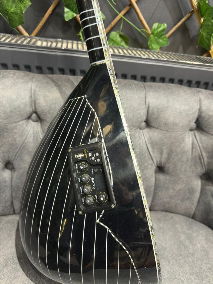 Profesyonel Siyah Usb Girişli Ekolayzırlı Elektro Bağlama