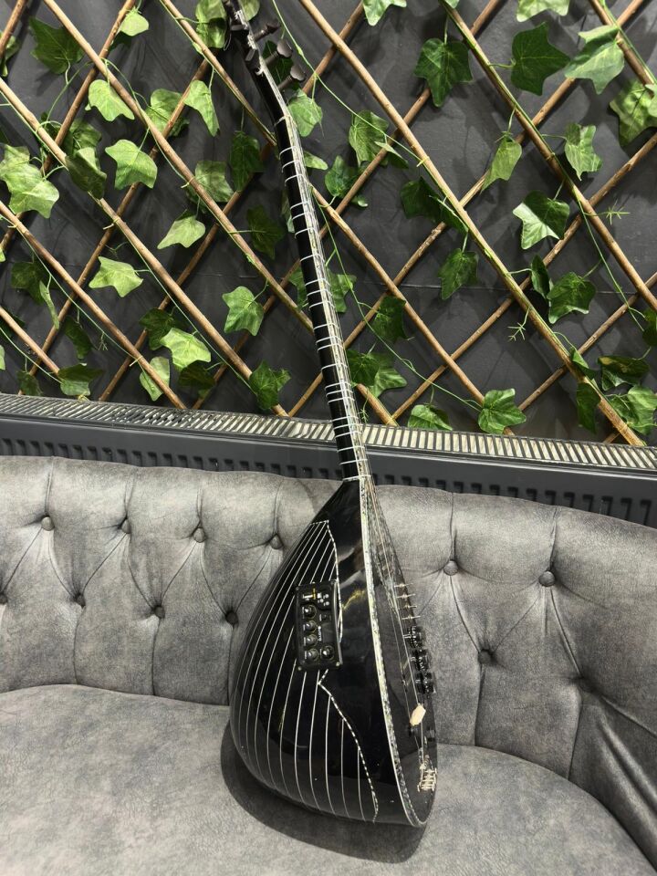 Profesyonel Siyah Usb Girişli Ekolayzırlı Elektro Bağlama