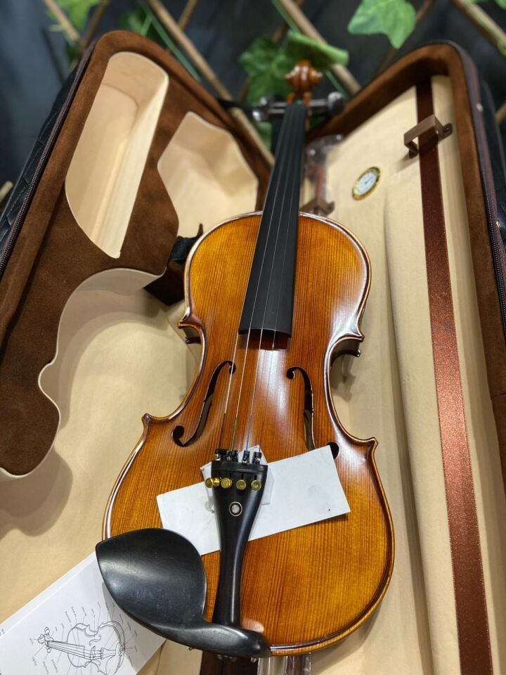 Profesyonel 4/4 Tam Boy Keman Swing Sv544