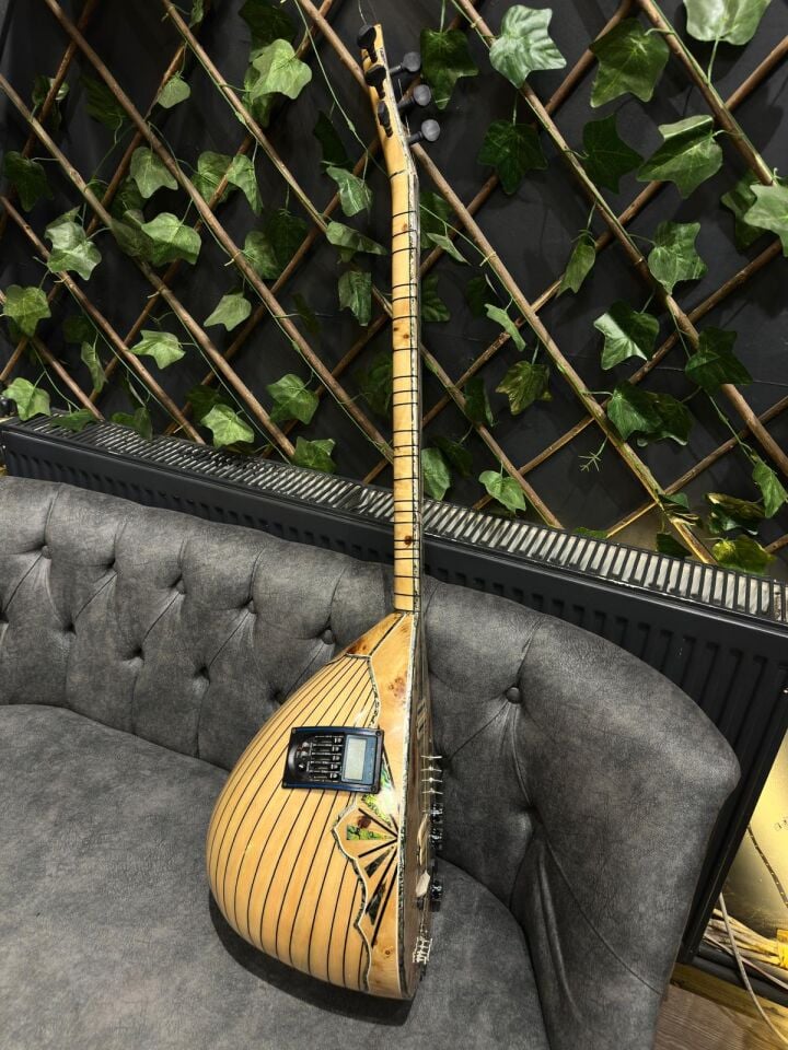 Ekolayzırlı Tam Profesyonel Kelebek Elektro Bağlama