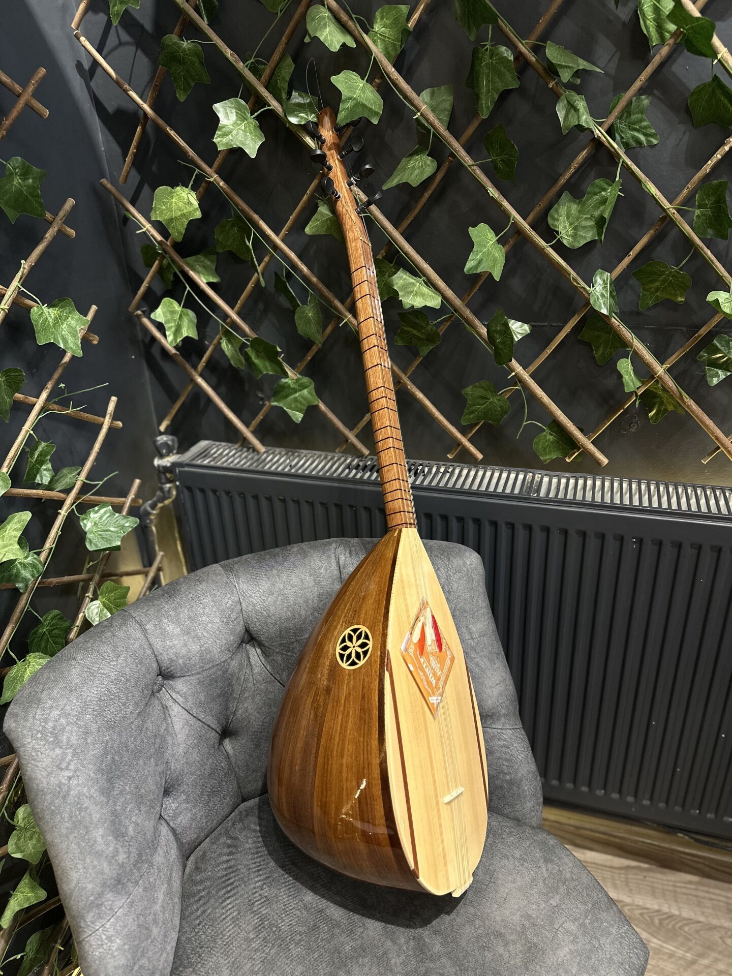 Kısa Sap -Maun-Ceviz Tekne Bağlama (Kılıf,Yedek Tel ve Tezene Dahil)