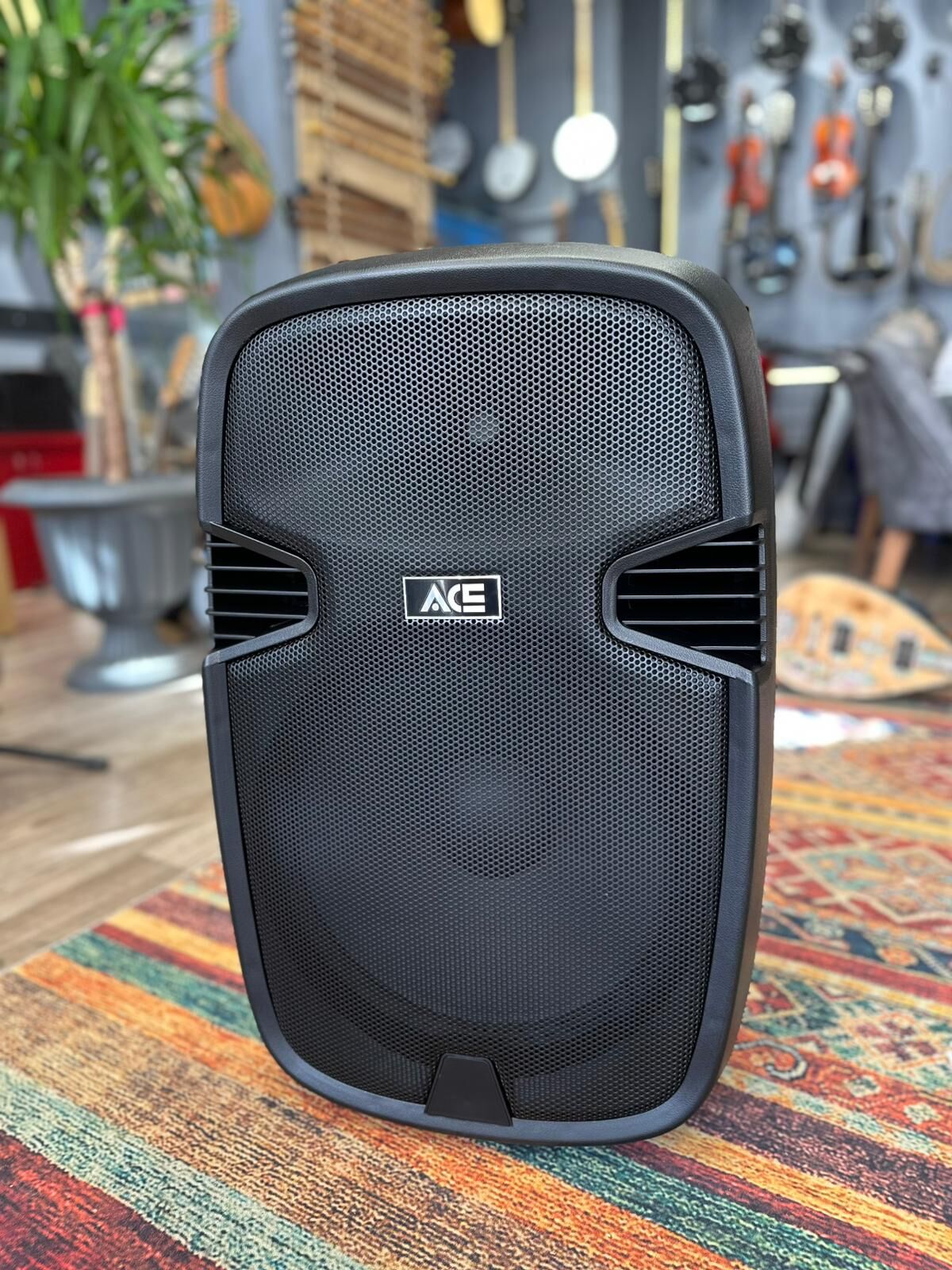 Paq-15ab 300 Watt Taşınabilir Şarjlı Amfi