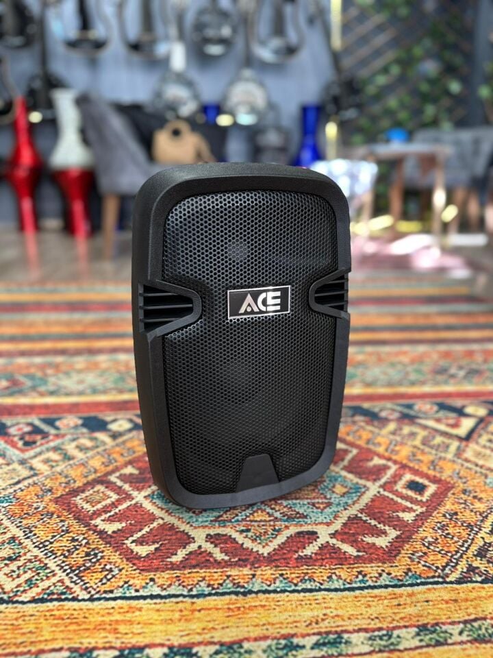 Paq-8bl INCH ŞARJLI TAŞINABİLİR AKTİF KABİN
