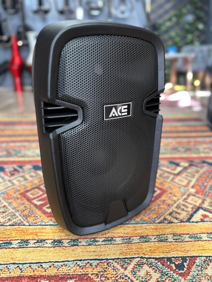 Paq10Bl Şarjlı Taşınabilir Bluetootlu Amfi