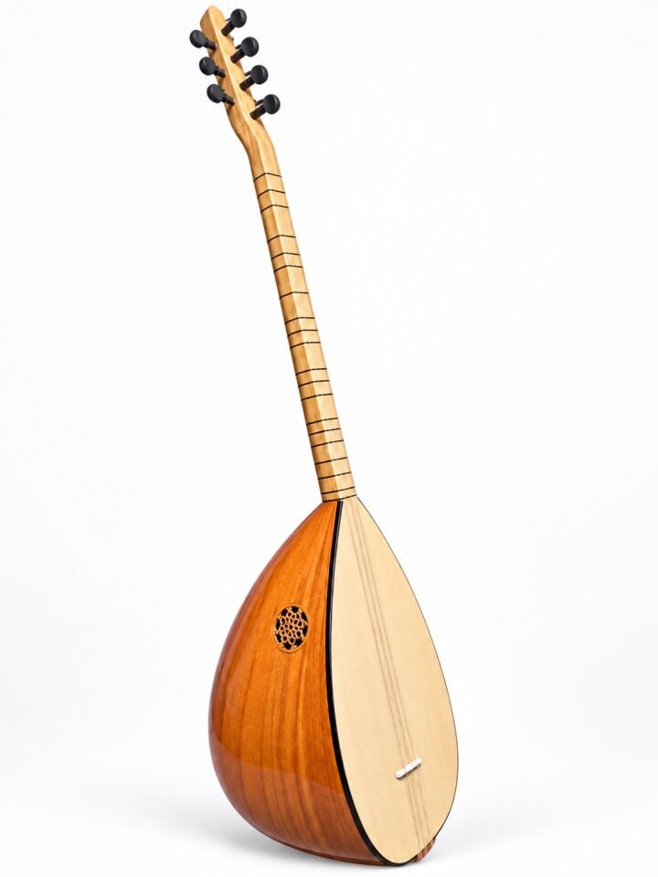 Uzun Sap Başlangıç Düzeyi Bağlama Seti (Kılıf-Tel-Tezene-Metot)