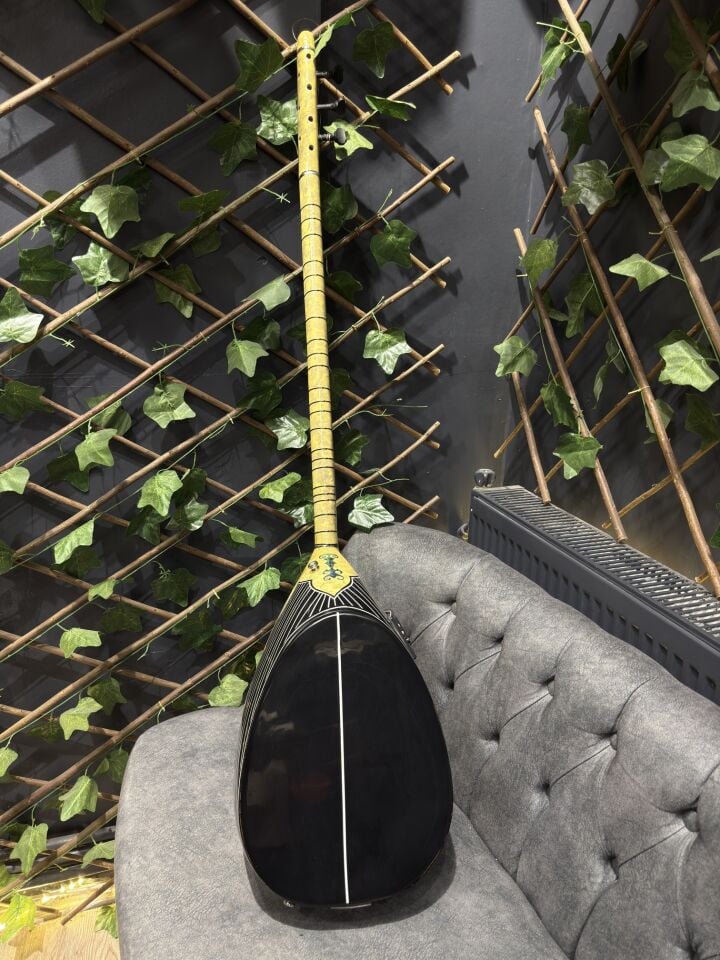 Yarım Kasa İşlemeli Profesyonel Elektro Bağlama (Soft Case Dahil)