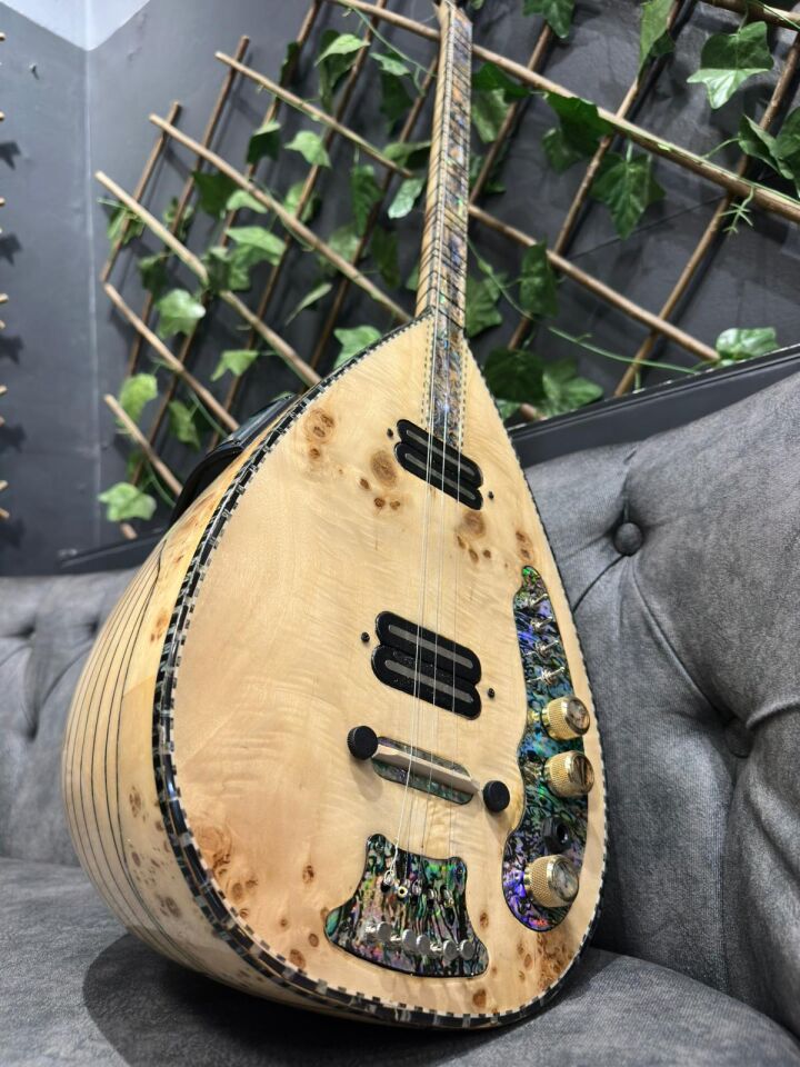 Ekolayzırlı Tam Profesyonel Elektro Bağlama (Soft Case Dahil)