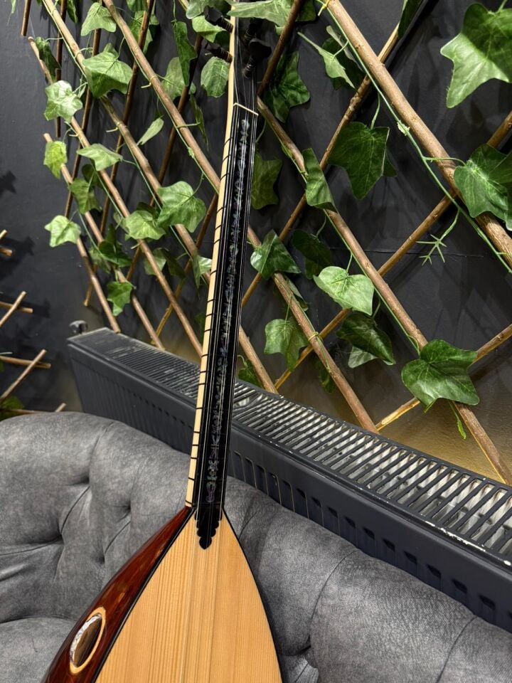 Profesyonel Ardıç Tekne Kısa Sap Bağlama