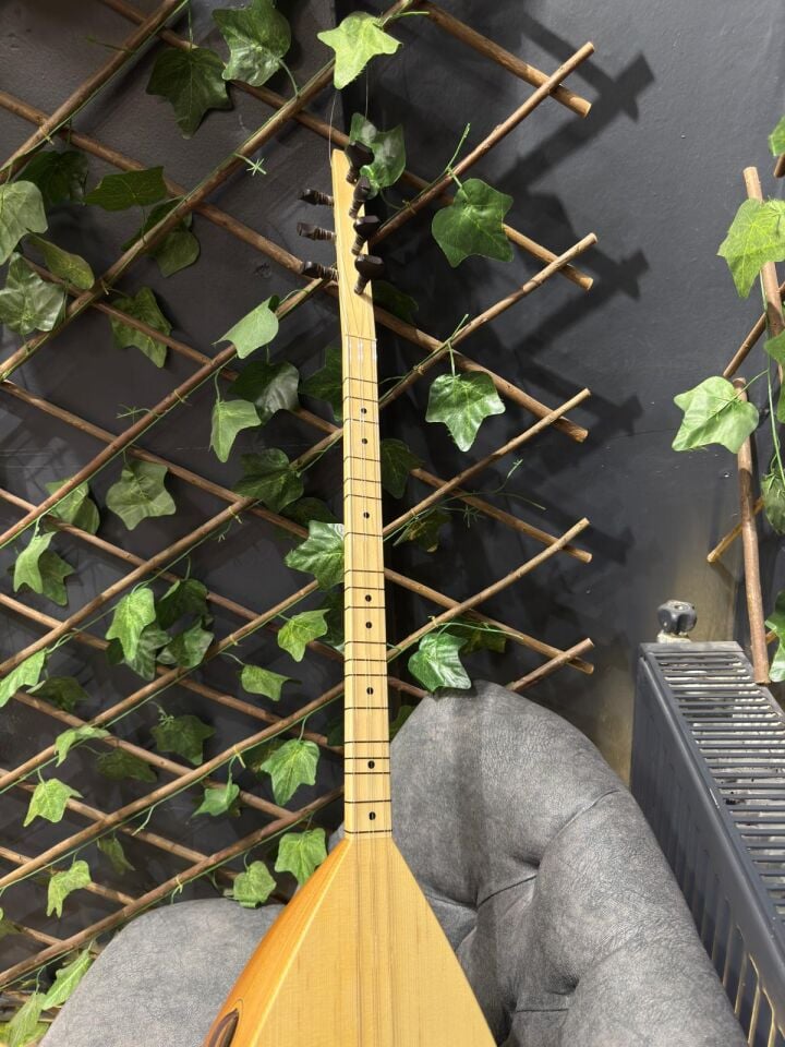 Kısa Sap Yarı Profesyonel Dut Tekne Bağlama (Kılıf-Tel-Tezene Dahil)