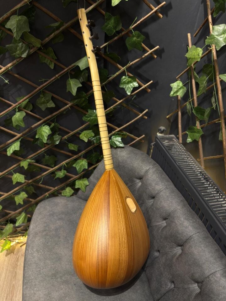 Kısa Sap Yarı Profesyonel Dut Tekne Bağlama (Kılıf-Tel-Tezene Dahil)