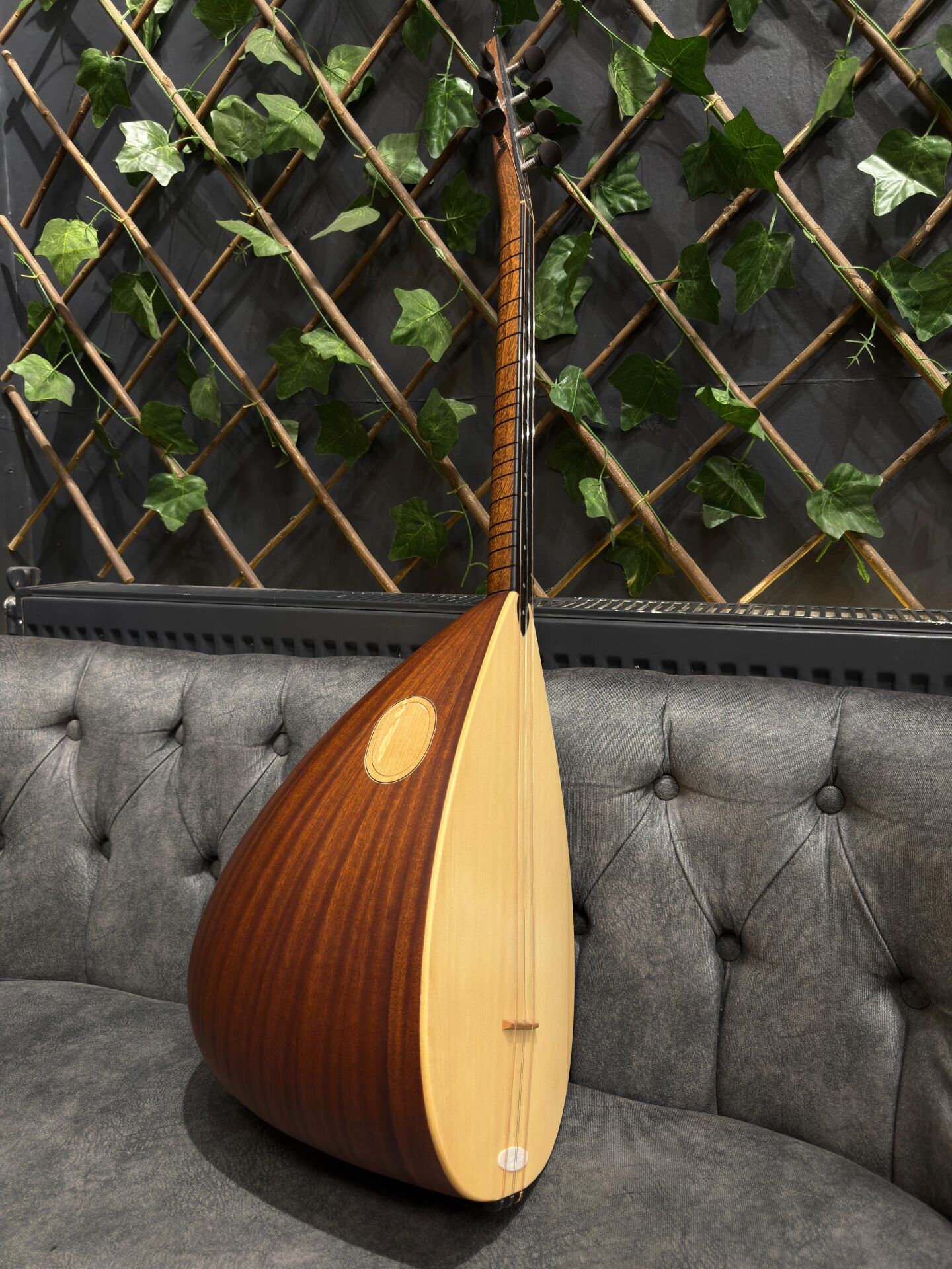 Kısa Sap Maun Tekne Profesyonel Bağlama (Soft Case Dahil)