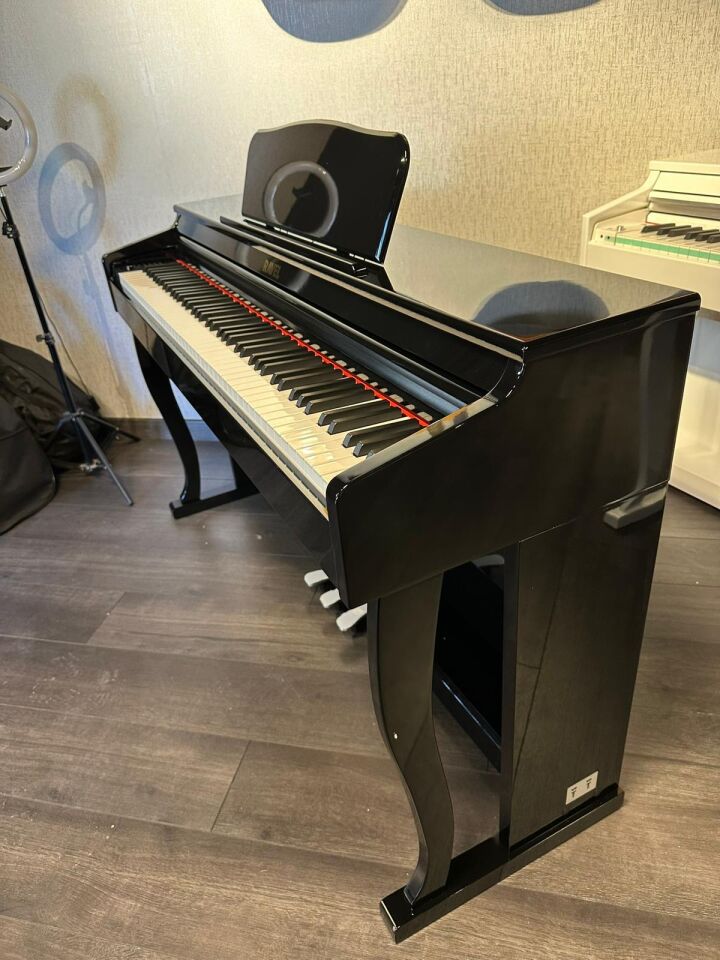 Rdp 120 LAKE SİYAH DİGİTAL PİYANO 88 HAMMER ACTİON TUŞ TABURE KULAKLIK