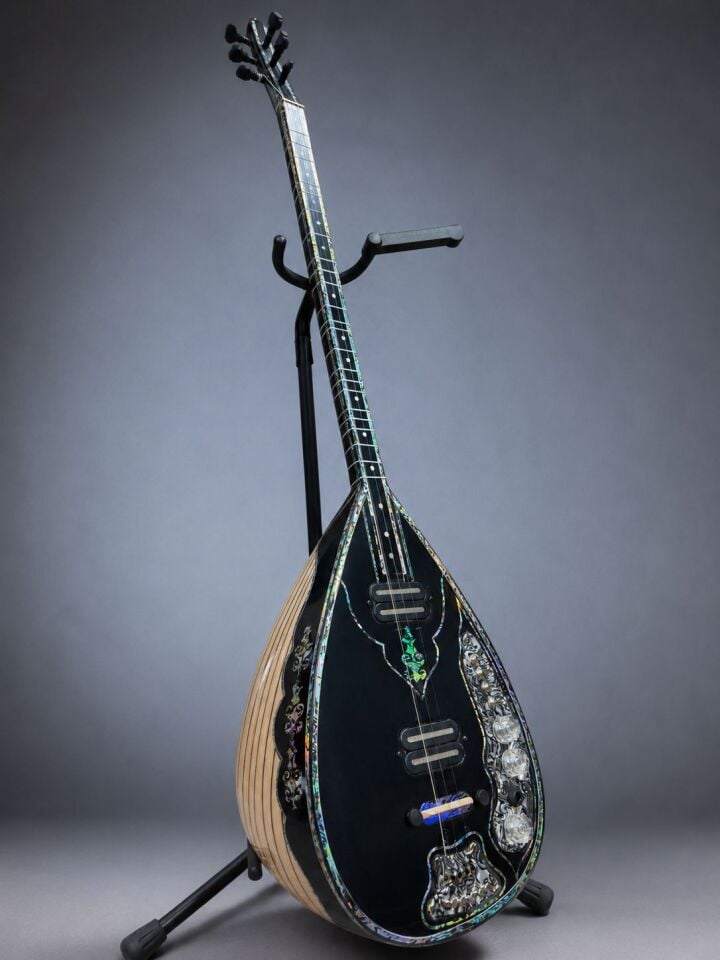 Krem-Siyah Profesyonel Elektro Bağlama