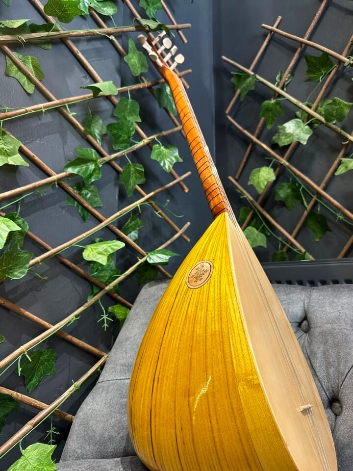 Orta Kalite Ses Kafesli Kısa Dut Tekne Bağlama(Kılıf+Yedek Takım Tel+Tezene)