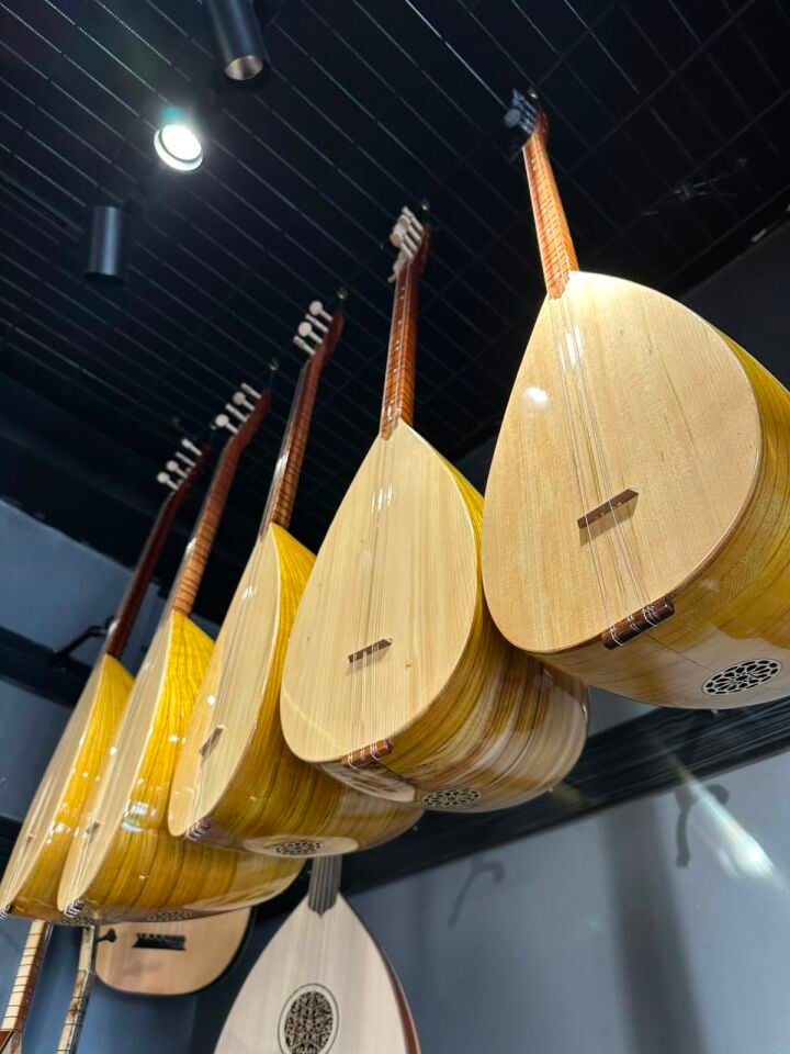 Orta Kalite Ses Kafesli Kısa Dut Tekne Bağlama(Kılıf+Yedek Takım Tel+Tezene)