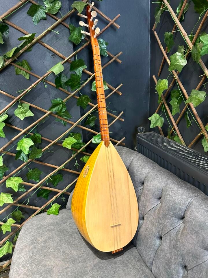 Orta Kalite Ses Kafesli Kısa Dut Tekne Bağlama(Kılıf+Yedek Takım Tel+Tezene)