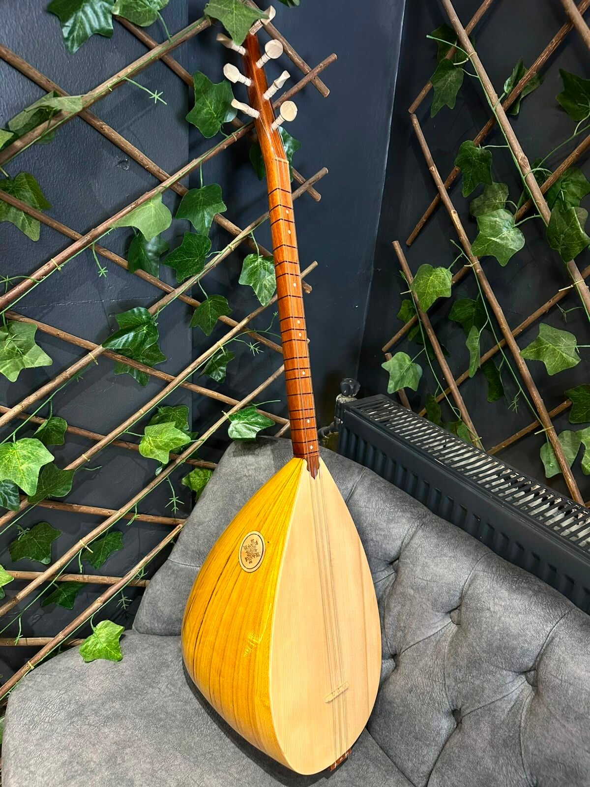 Orta Kalite Ses Kafesli Kısa Dut Tekne Bağlama(Kılıf+Yedek Takım Tel+Tezene)