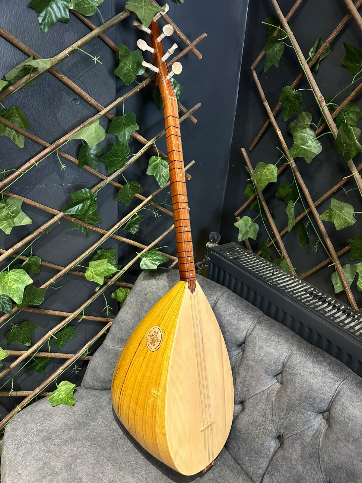 Orta Kalite Ses Kafesli Kısa Dut Tekne Bağlama(Kılıf+Yedek Takım Tel+Tezene)