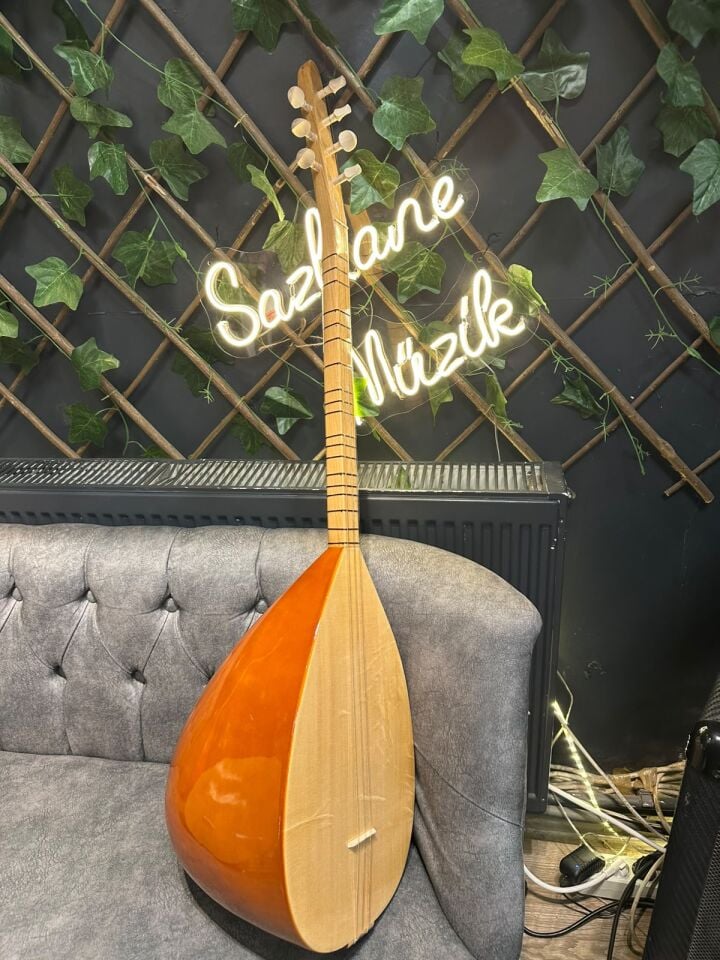 Kısa Sap Başlangıç Düzeyi Kompozit Bağlama ( Kılıf-Yedek Takım Tel-Tezene)