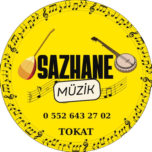 Akustik Gitar
